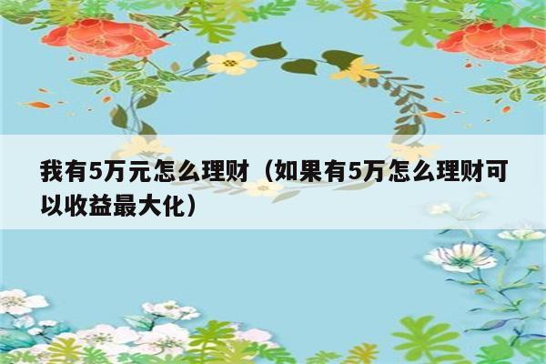 我有5万元怎么理财（如果有5万怎么理财可以收益最大化） 