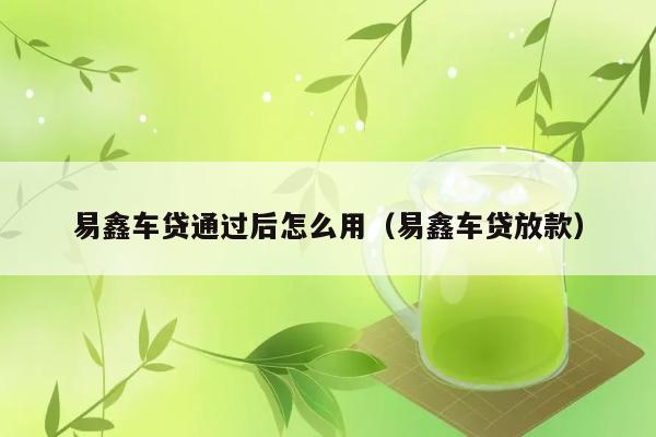 易鑫车贷通过后怎么用（易鑫车贷放款） 