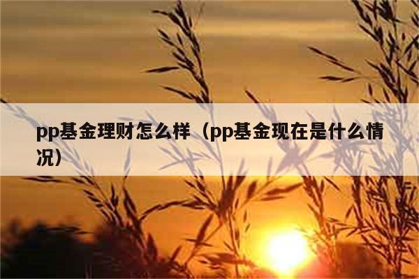 pp基金理财怎么样（pp基金现在是什么情况） 