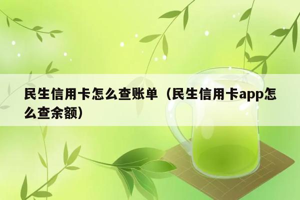 民生信用卡怎么查账单（民生信用卡app怎么查余额） 