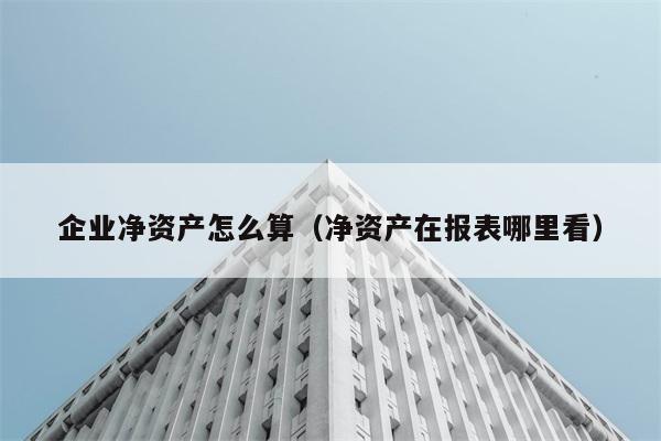 企业净资产怎么算（净资产在报表哪里看） 