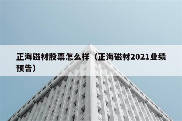 正海磁材股票怎么样（正海磁材2021业绩预告） 