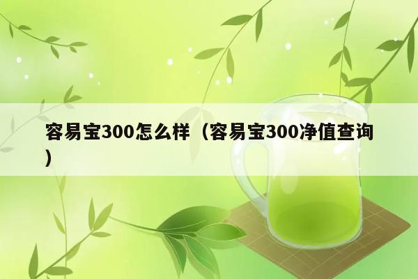 容易宝300怎么样（容易宝300净值查询） 